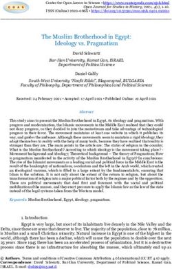 The Muslim Brotherhood in Egypt: Ideology vs. Pragmatism