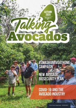 #smashanavoathome campaign New avocado biosecurity plan COVID-19 and the avocado industry - Autumn 2020