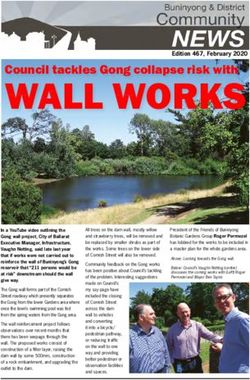 WALL WORKS Council tackles Gong collapse risk with - Buninyong