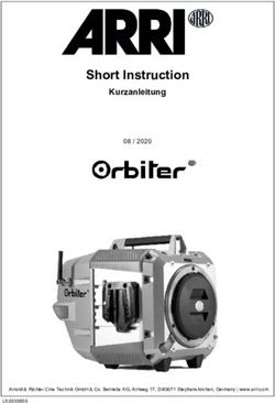 Short Instruction Kurzanleitung - Video Cine Import