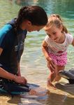 Gold Coast Destination Tourism Management Plan 2014-2020