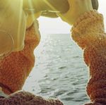 The 2020 emissions gap What are the next targets? - More energy effi ciency! Interview with Christian Noll - &Ouml;ko-Institut eV