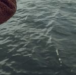 The 2020 emissions gap What are the next targets? - More energy effi ciency! Interview with Christian Noll - &Ouml;ko-Institut eV