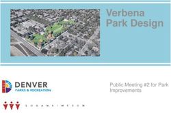 Verbena Park Design - Public Meeting #2 for Park Improvements