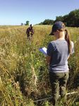 Forage and Habitat for Pollinators in the Northern Great Plains-Implications for U.S. Department of Agriculture Conservation Programs