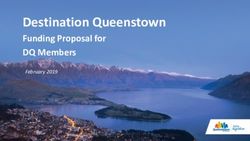 Funding Proposal for DQ Members - Destination Queenstown February 2019