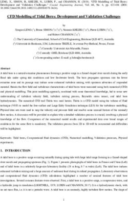 CFD Modelling of Tidal Bores: Development and Validation Challenges - UQ eSpace