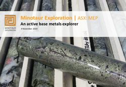 Minotaur Exploration | ASX: MEP - An active base metals explorer 4 November 2019 - Open Briefing