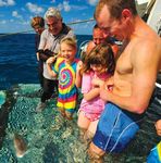 Great Barrier Reef - A PERSONAL JOURNEY THROUGH NATURE'S GREATEST MARINE WONDERLAND