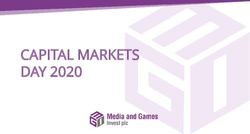 CAPITAL MARKETS DAY 2020 - Media and Games Invest plc