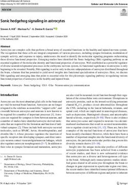 Sonic hedgehog signaling in astrocytes