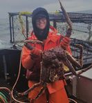 WINTER 2019 - Seafood Harvesters of ...