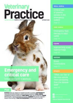 Emergency and critical care - Veterinary Practice