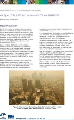 AIR QUALITY DURING THE 2006-07 VICTORIAN BUSHFIRES - Yarra and ...