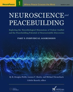 NEUROSCIENCE PEACEBUILDING - Beyond Conflict