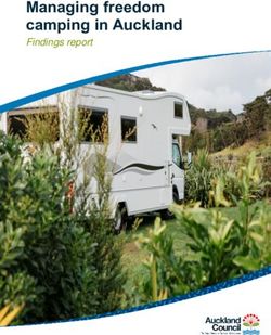 Managing freedom camping in Auckland - Findings report
