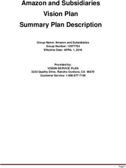 Amazon and Subsidiaries Vision Plan Summary Plan Description