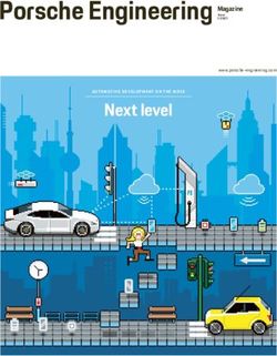 Porsche Engineering Next level - Magazine