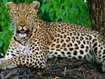 ITINERARY FOR HIGHLIGHTS OF SOUTHERN AFRICA 2020 - South Africa, Zimbabwe & Botswana - andBeyond