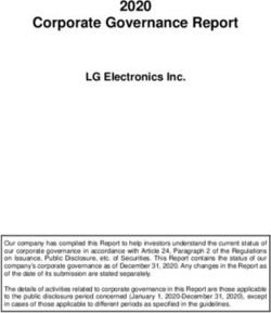 Corporate Governance Report 2020 - LG