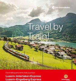Travel by Train! - Luzern-Interlaken Express Luzern-Engelberg Express Fascinating panoramic train journeys: Zentralbahn