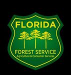 2021 Florida Southern Pine Beetle Forecast Florida Forest Service, Forest Health Section