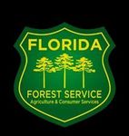 2021 Florida Southern Pine Beetle Forecast Florida Forest Service, Forest Health Section