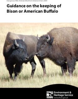 Guidance on the keeping of Bison or American Buffalo