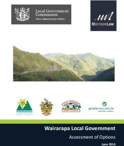 Wairarapa Local Government - Assessment of Options June 2016 - Local Government Commission