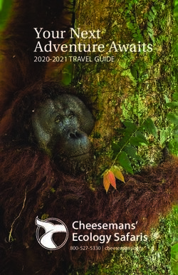 Your Next Adventure Awaits - 2020-2021 TRAVEL GUIDE - Cheesemans' Ecology Safaris
