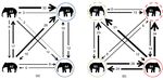Social Interactions in Two Groups of Zoo-Housed Adult Female Asian Elephants (Elephas maximus) that Differ in Relatedness - MDPI