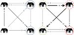 Social Interactions in Two Groups of Zoo-Housed Adult Female Asian Elephants (Elephas maximus) that Differ in Relatedness - MDPI