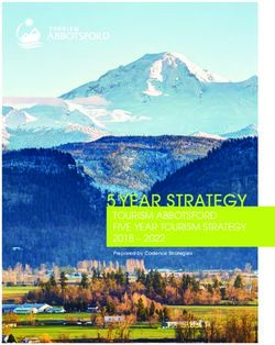 5 YEAR STRATEGY TOURISM ABBOTSFORD FIVE YEAR TOURISM STRATEGY 2018 2022 - PREPARED BY CADENCE STRATEGIES