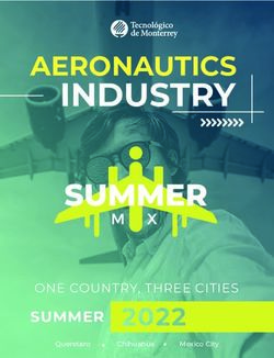 INDUSTRY AERONAUTICS - SUMMER