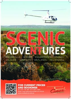 ADVENTURES - FOR CURRENT PRICES AND BOOKINGS Ph: 0427 432 666 +61 8 8972 5666 Email: www.coolibah-air.com.au