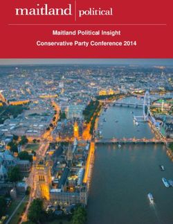 Maitland Political Insight Conservative Party Conference 2014