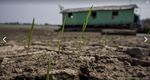 Amazon fires: Brazilian rainforest burning at record rate (83% up), space agency warns