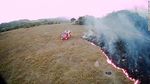 Amazon fires: Brazilian rainforest burning at record rate (83% up), space agency warns