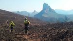 Amazon fires: Brazilian rainforest burning at record rate (83% up), space agency warns