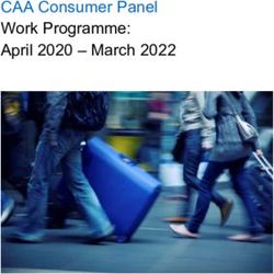 CAA Consumer Panel Work Programme: April 2020 - March 2022