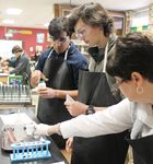 EXCELLENCE EVERY DAY 2016-2017 - Cedar Creek School