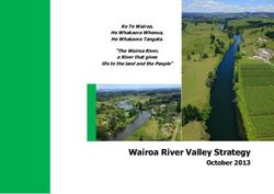 Wairoa River Valley Strategy - October 2013 - Ko Te Wairoa, He Whakaora Whenua, He Whakaora Tangata - Western Bay of Plenty District ...