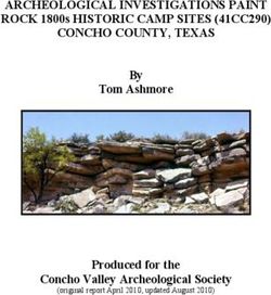 ARCHEOLOGICAL IҬVESTIGATIOҬS PAIҬT ROCK 1800S HISTORIC CAMP SITES (41CC290) - COҬCHO COUҬTY, TEXAS BY TOM ASHMORE - PRODUCED FOR THE CONCHO VALLEY ...