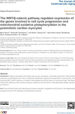 The WNT/β-catenin pathway regulates expression of the genes involved in cell cycle progression and mitochondrial oxidative phosphorylation in the ...