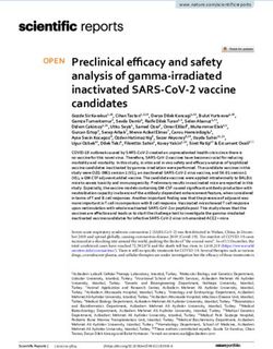 PRECLINICAL EFFICACY AND SAFETY ANALYSIS OF GAMMA IRRADIATED INACTIVATED SARS COV 2 VACCINE CANDIDATES - NATURE