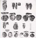 PALAEOLITHIC RESEARCH FRAMEWORK FOR THE BRISTOL AVON BASIN WENBAN-SMITH