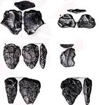 PALAEOLITHIC RESEARCH FRAMEWORK FOR THE BRISTOL AVON BASIN WENBAN-SMITH