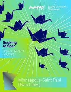 Minneapolis-Saint Paul (Twin Cities) - Seeking to Soar Regional Nonprofit Snapshot - Asian Americans ...