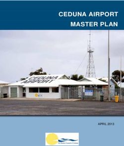 CEDUNA AIRPORT MASTER PLAN - APRIL 2013 - District Council of Ceduna