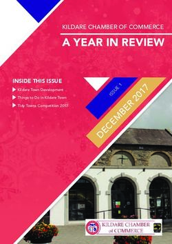 A YEAR IN REVIEW KILDARE CHAMBER OF COMMERCE - INSIDE THIS ISSUE - Destination Kildare Town